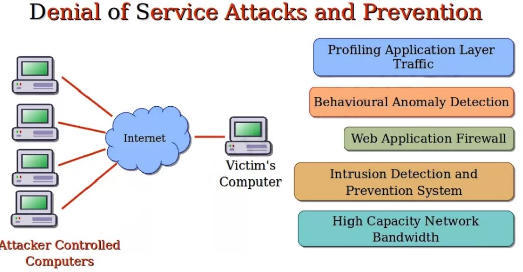 Denial of Services Attacks and Prevention