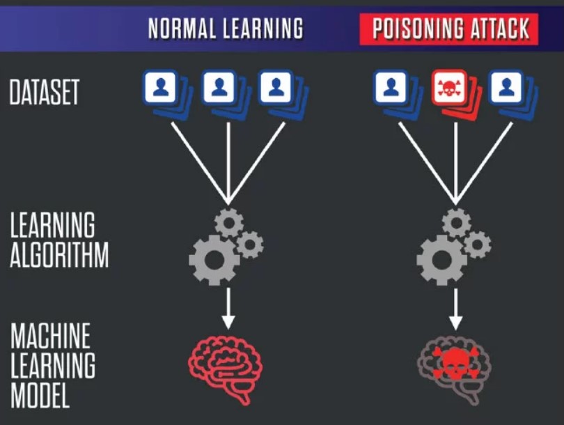 Training Data Poisoning